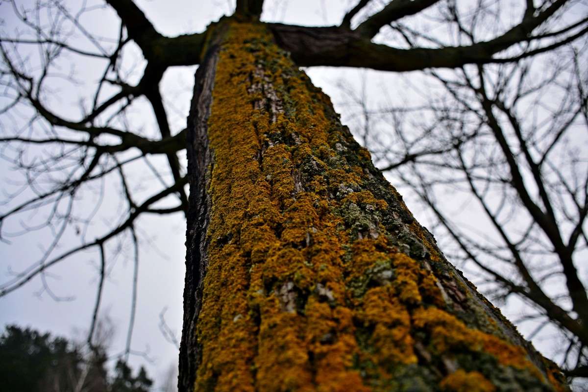 �������� �������.. ����� �����  �� PhotoGeek.ru #������ ��� ������� #����� ��������������