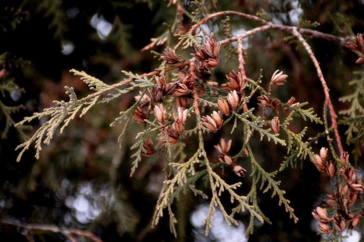 ... ����� �����  �� PhotoGeek.ru #������ ��� �������