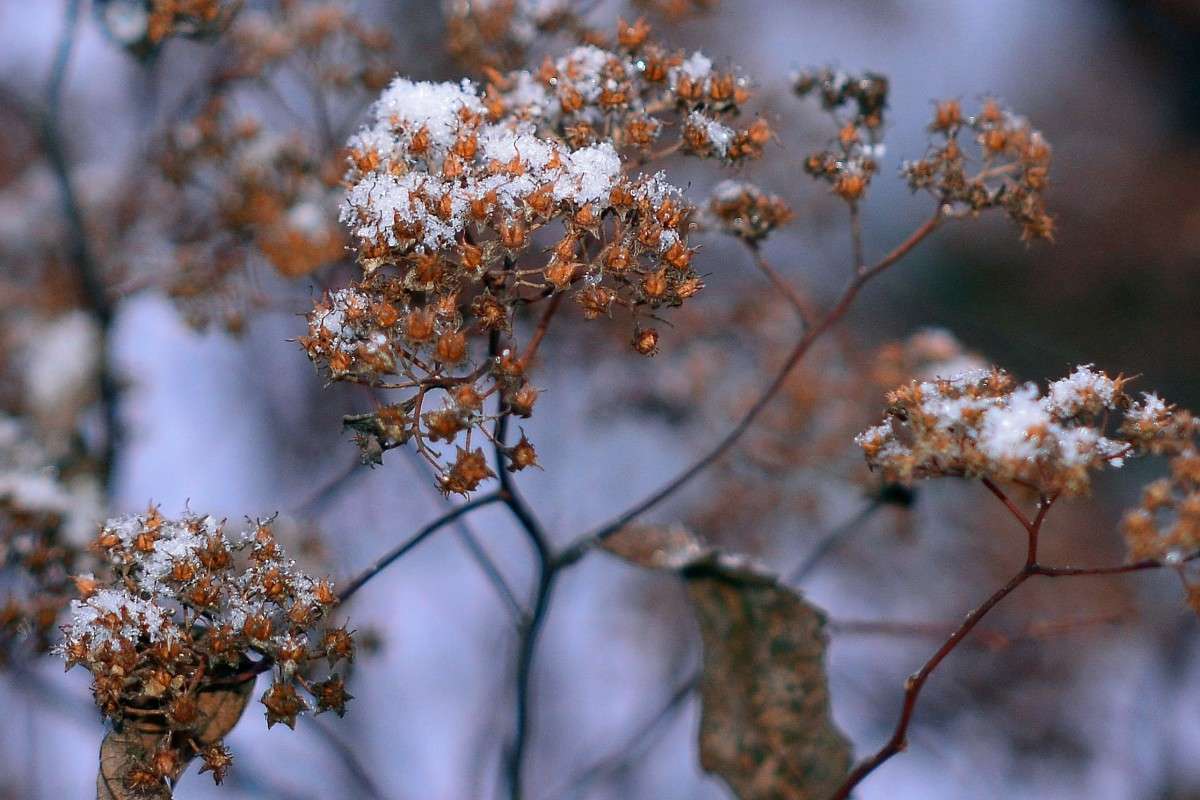 ... ����� �����  �� PhotoGeek.ru #������ ��� ������� #����� �������������� #���������