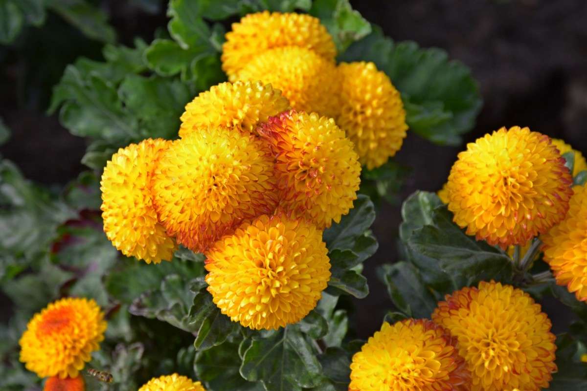 ... ����� �����  �� PhotoGeek.ru #������ ��� ������� #����� ��������������