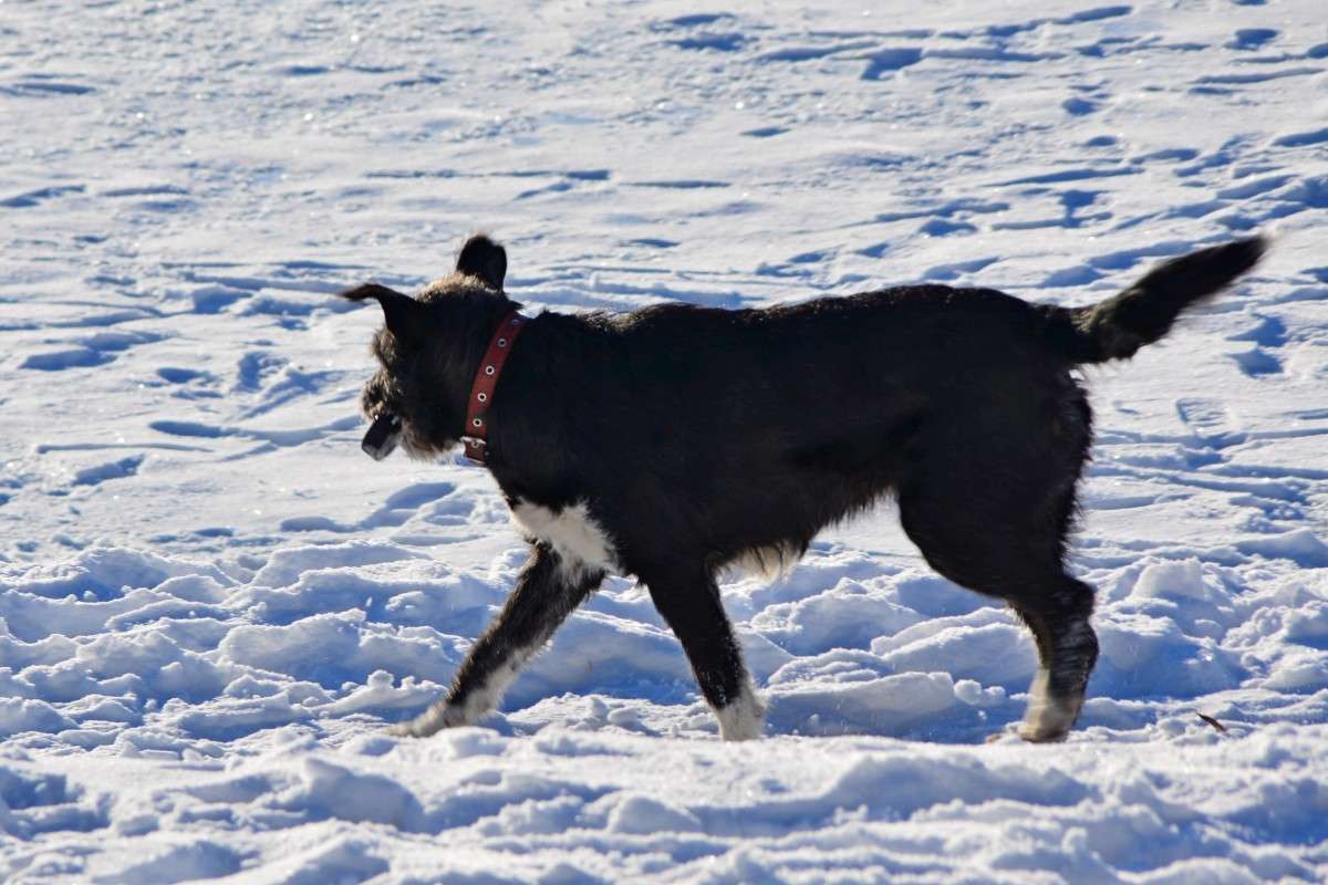 �����! ����� �����  �� PhotoGeek.ru #����� #�������� ��� #�������� ���