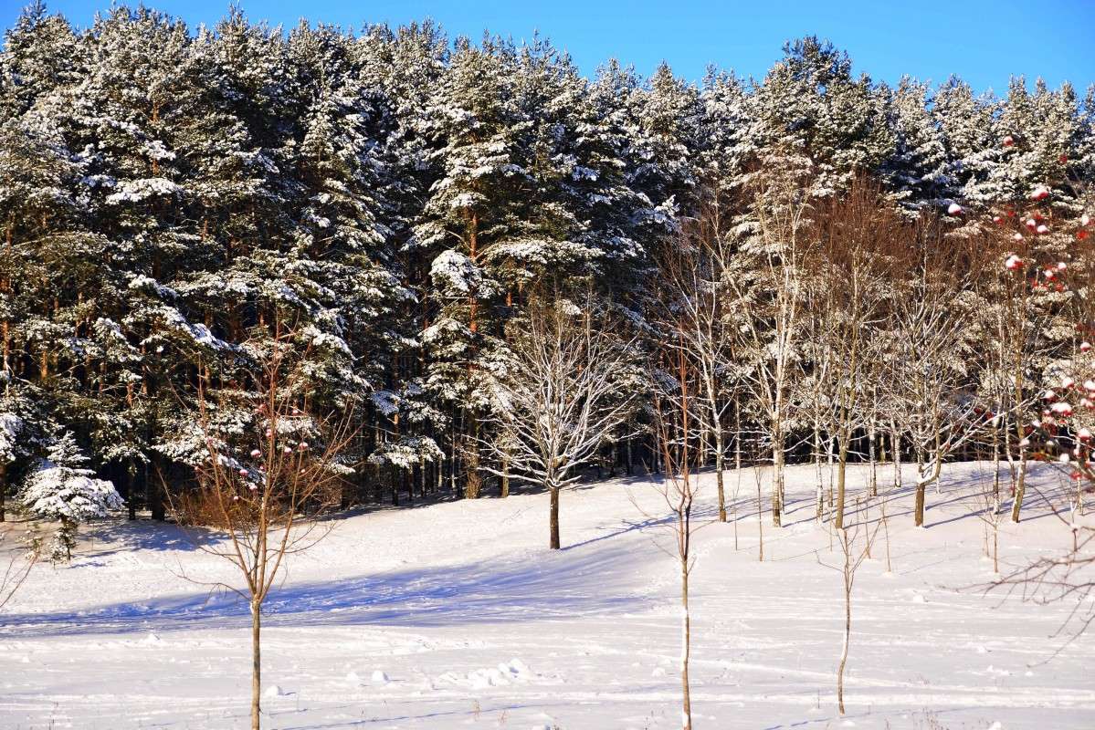 ... ����� �����  �� PhotoGeek.ru #������ ��� �������