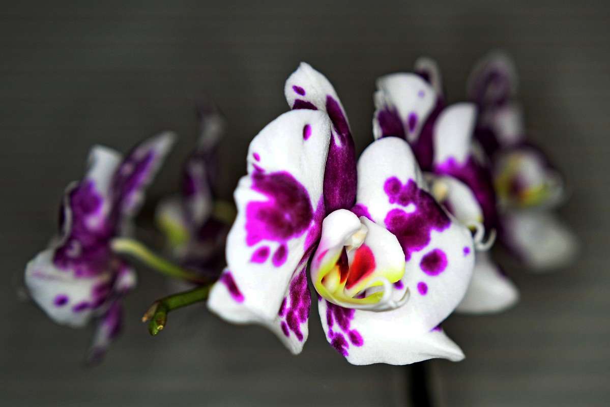 ... ����� �����  �� PhotoGeek.ru #����� ��������������