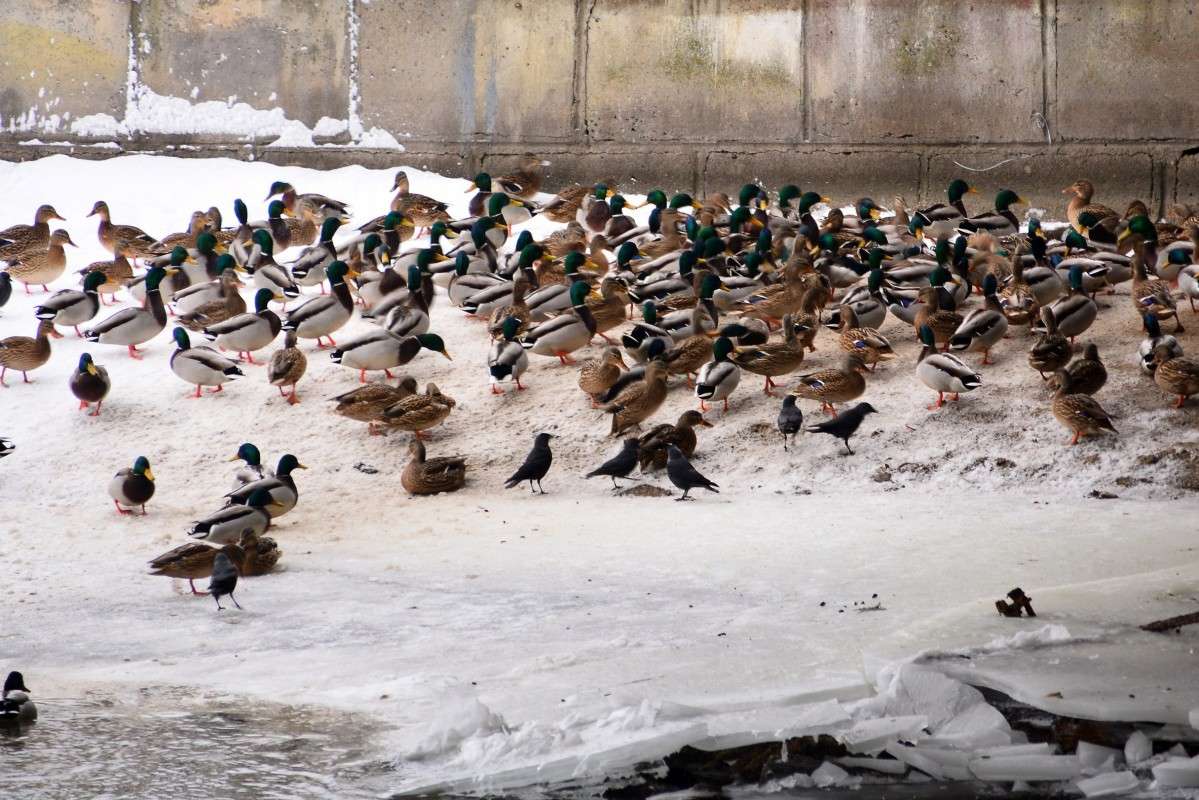 ... ����� �����  �� PhotoGeek.ru #����� #�������� ���