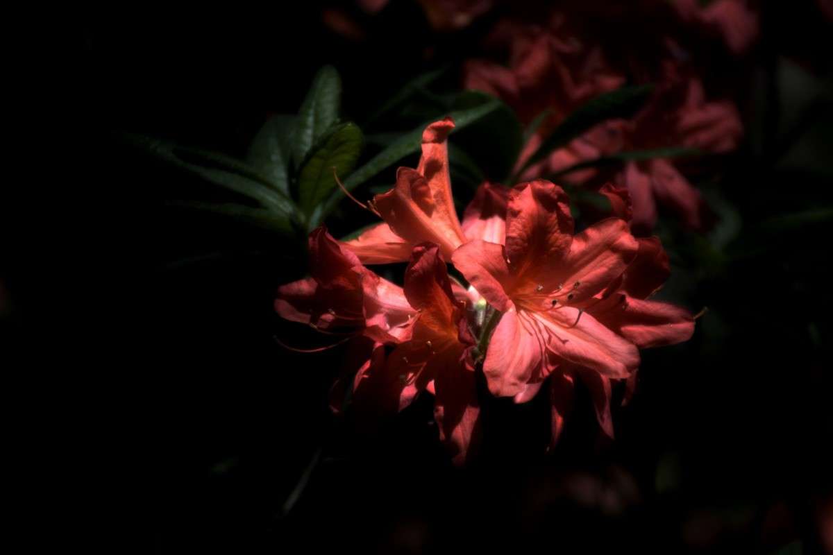 ... ����� �����  �� PhotoGeek.ru #������ ��� ������� #����� ��������������