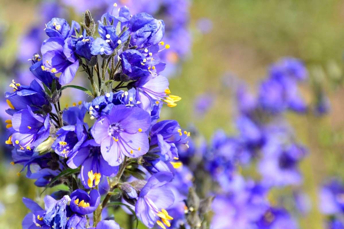 ... ����� �����  �� PhotoGeek.ru #������ ��� ������� #����� ��������������