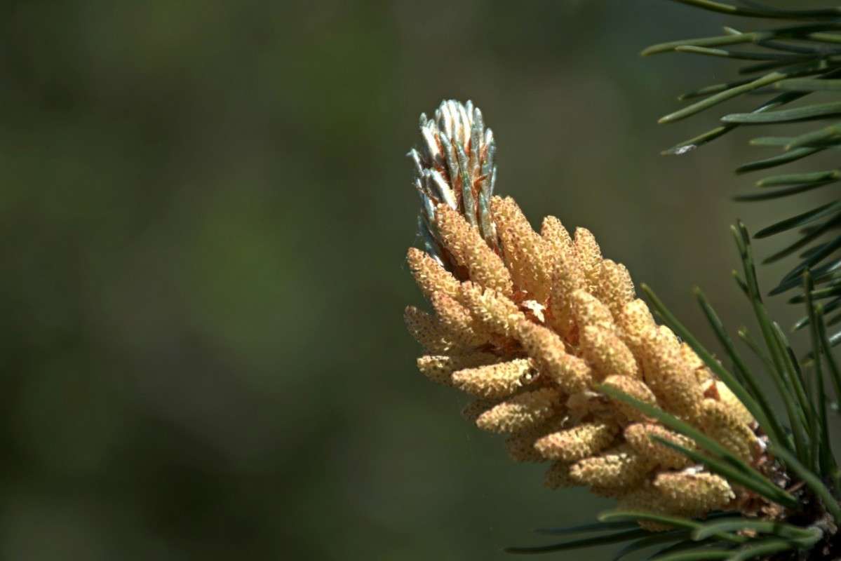 ... ����� �����  �� PhotoGeek.ru #������ ��� ������� #����� ��������������