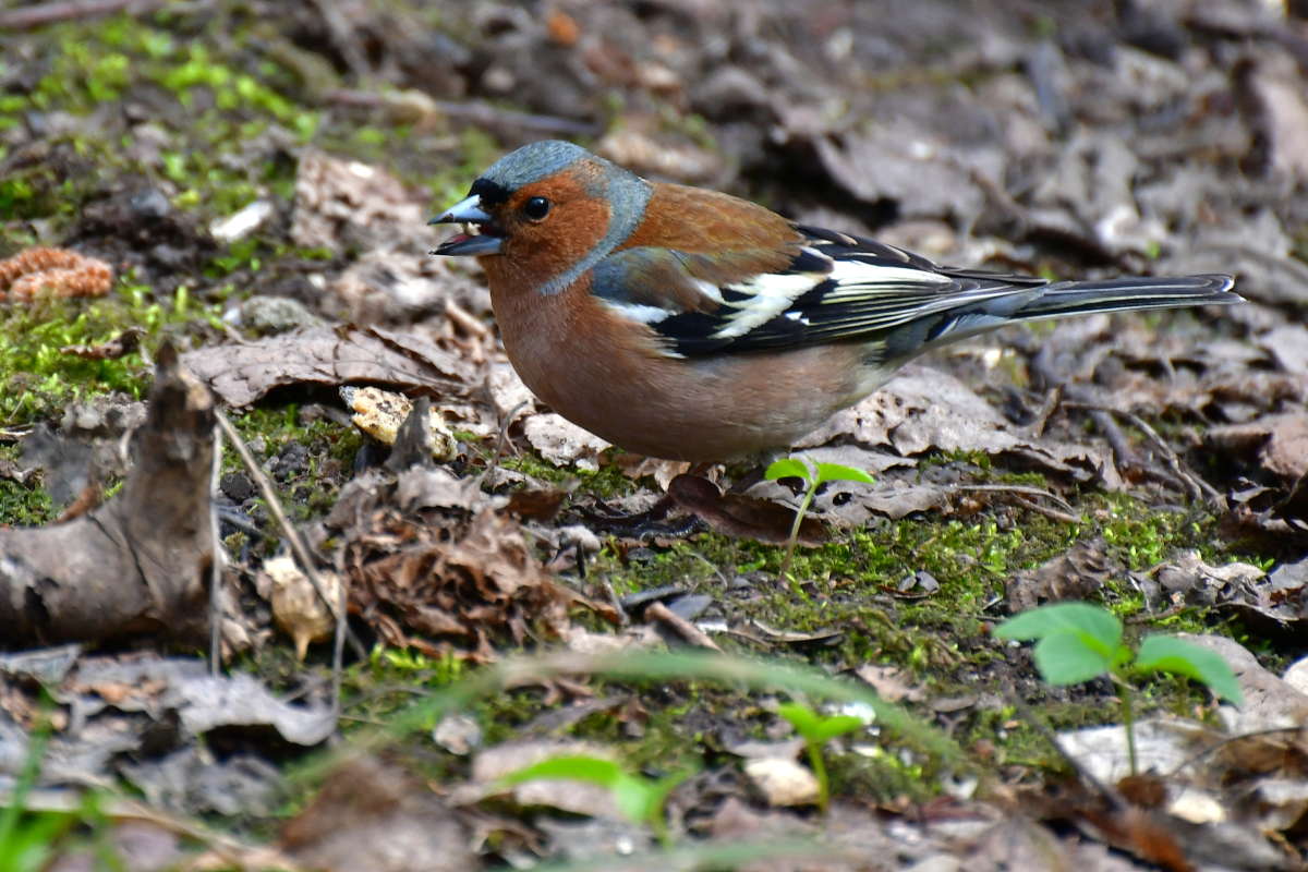 ... ����� �����  �� PhotoGeek.ru #�������� ��� #����� ��� ��� ���������