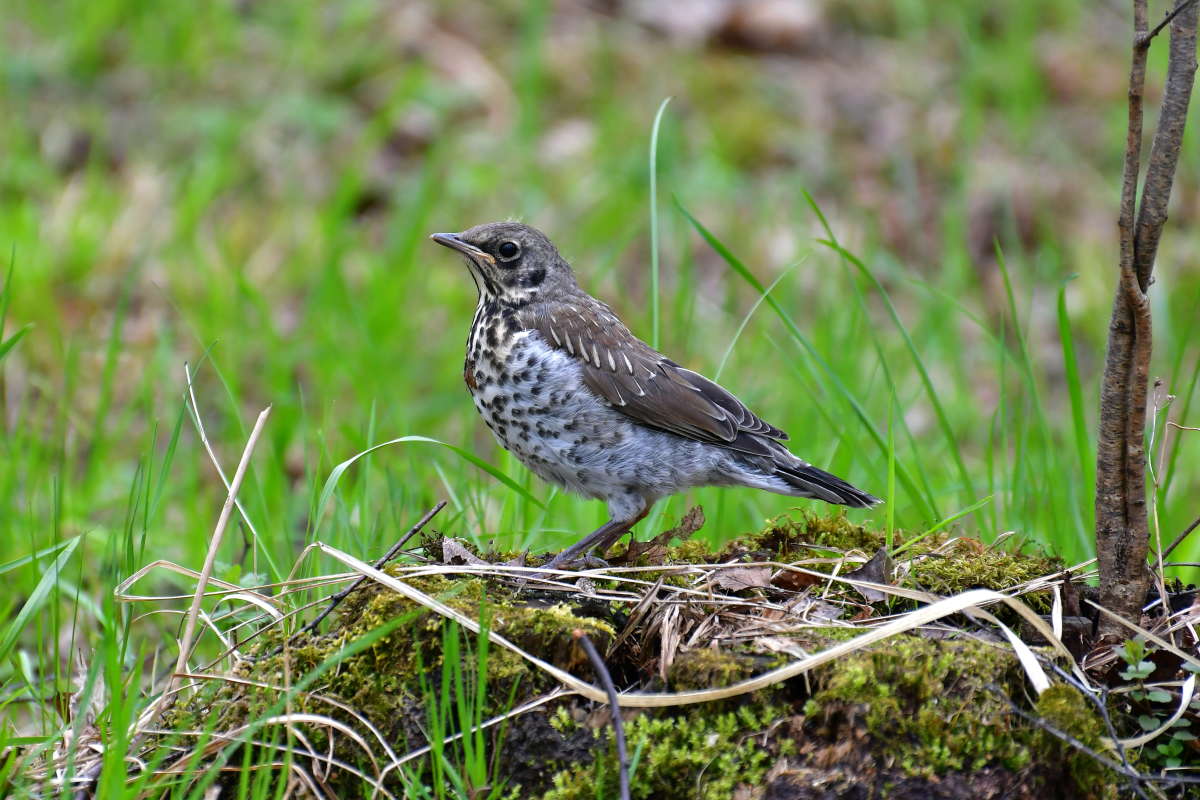 ... ����� �����  �� PhotoGeek.ru #�������� ��� #����� ��� ��� ���������