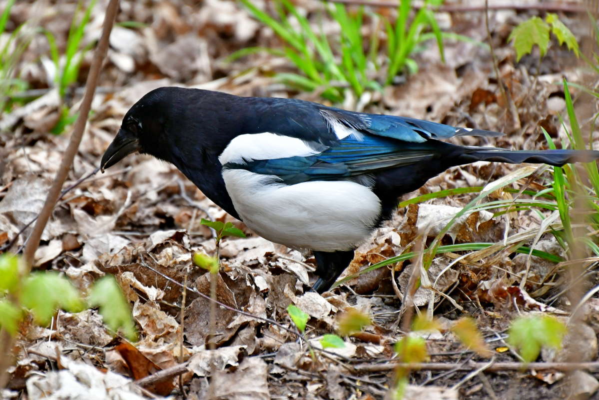 ... ����� �����  �� PhotoGeek.ru #�������� ��� #����� ��� ��� ���������