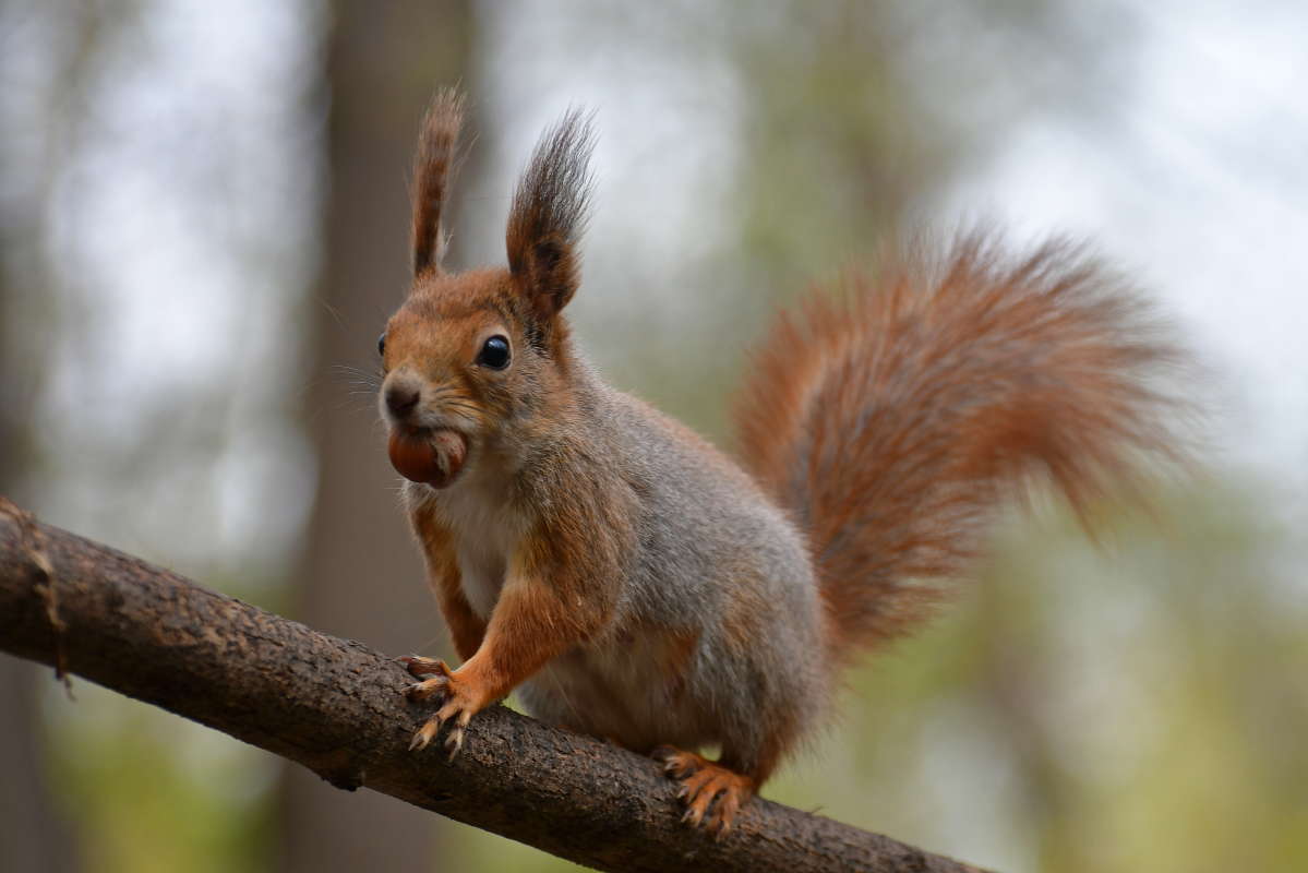 ... ����� �����  �� PhotoGeek.ru #�������� ��� #����� ��� ��� ���������