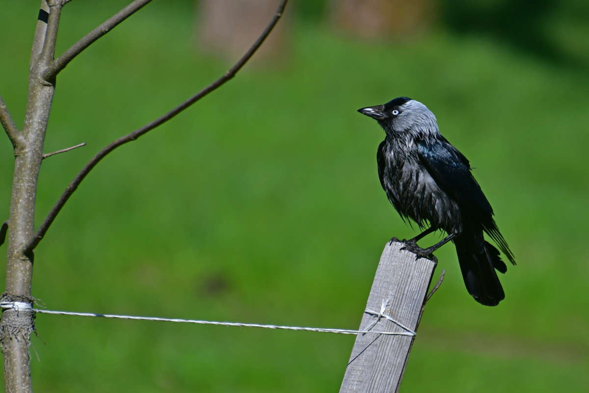 ... ����� �����  �� PhotoGeek.ru #����� #�������� ��� #����� ��� ��� ���������