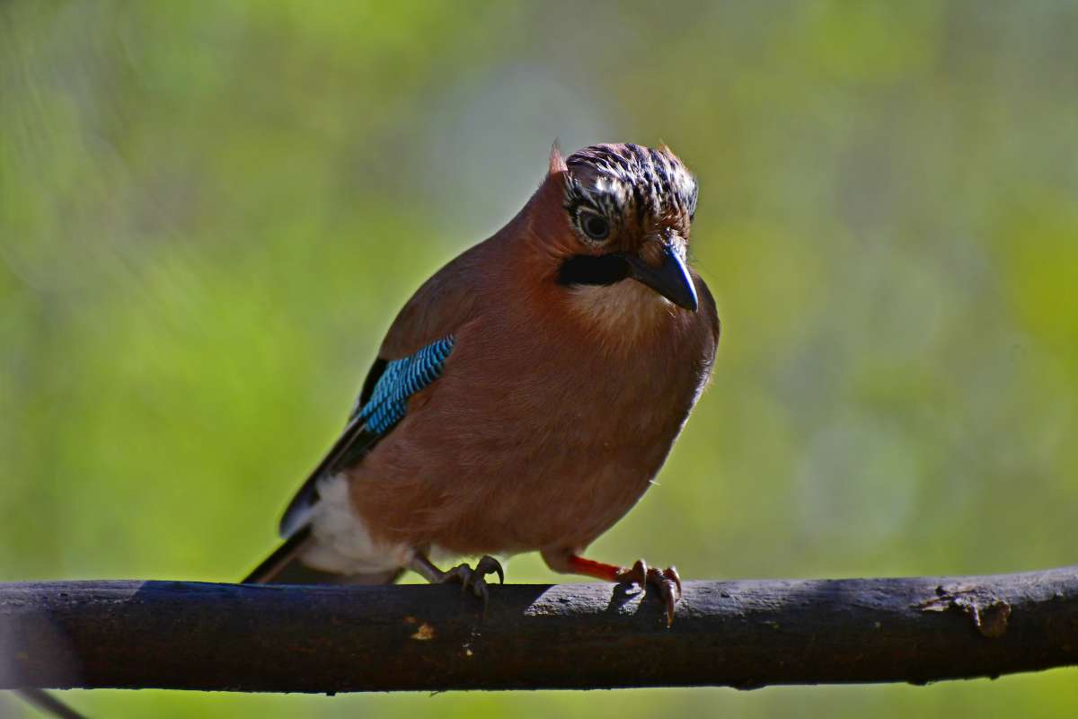 ... ����� �����  �� PhotoGeek.ru #����� #�������� ��� #������ ��� ������� #����� ��� ��� ���������