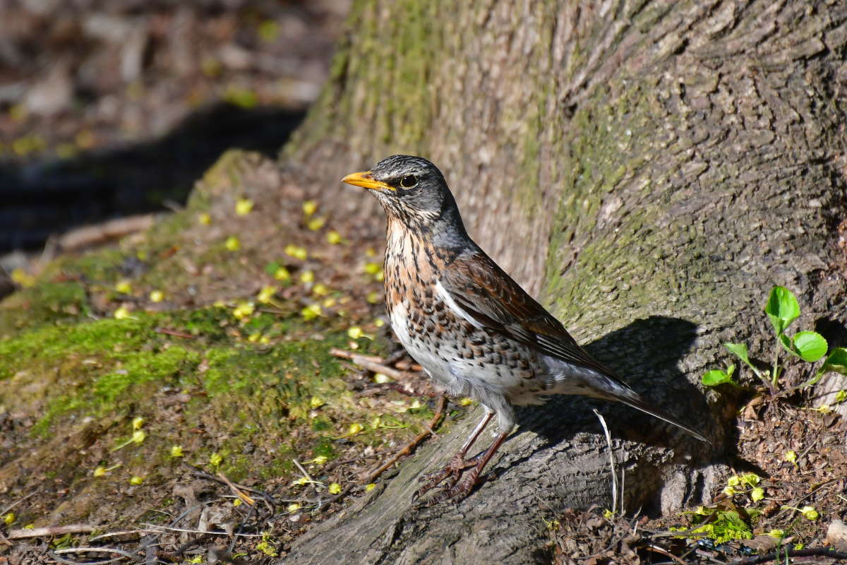 ... ����� �����  �� PhotoGeek.ru #����� #�������� ���