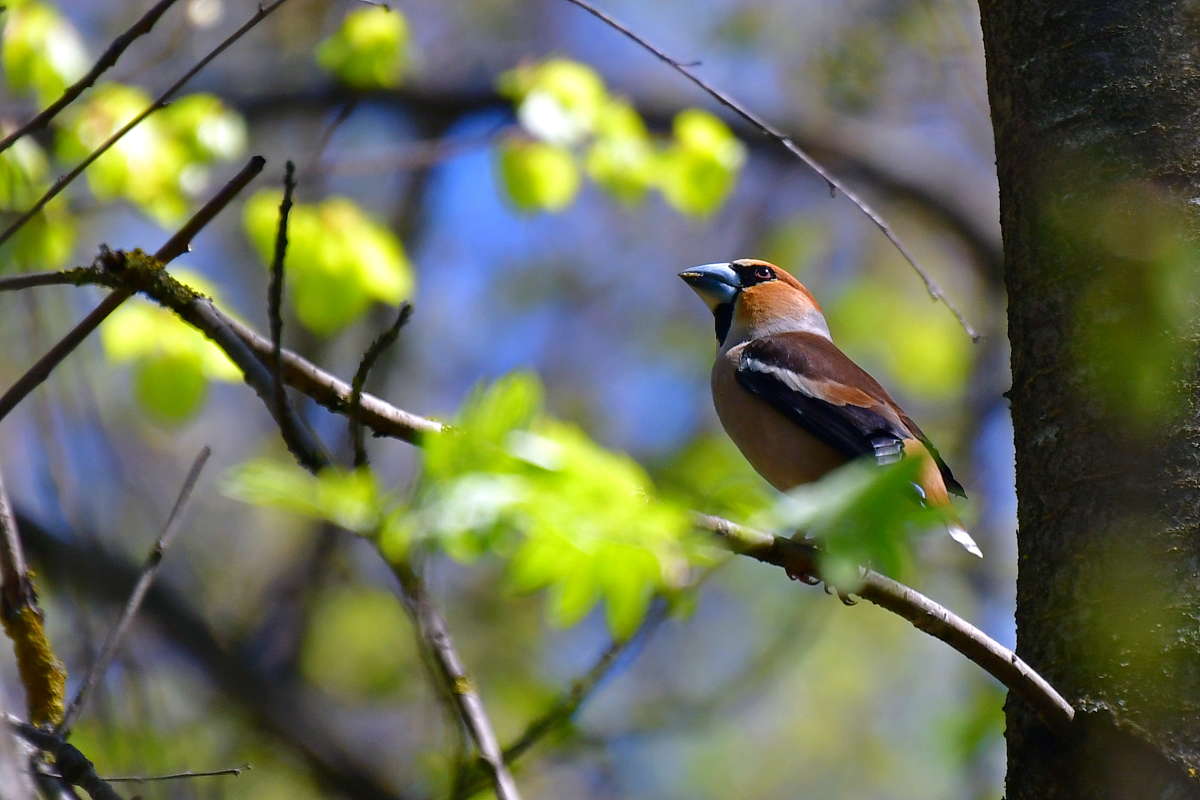 ������� ����� �����  �� PhotoGeek.ru #�������� ��� #����� ��� ��� ���������