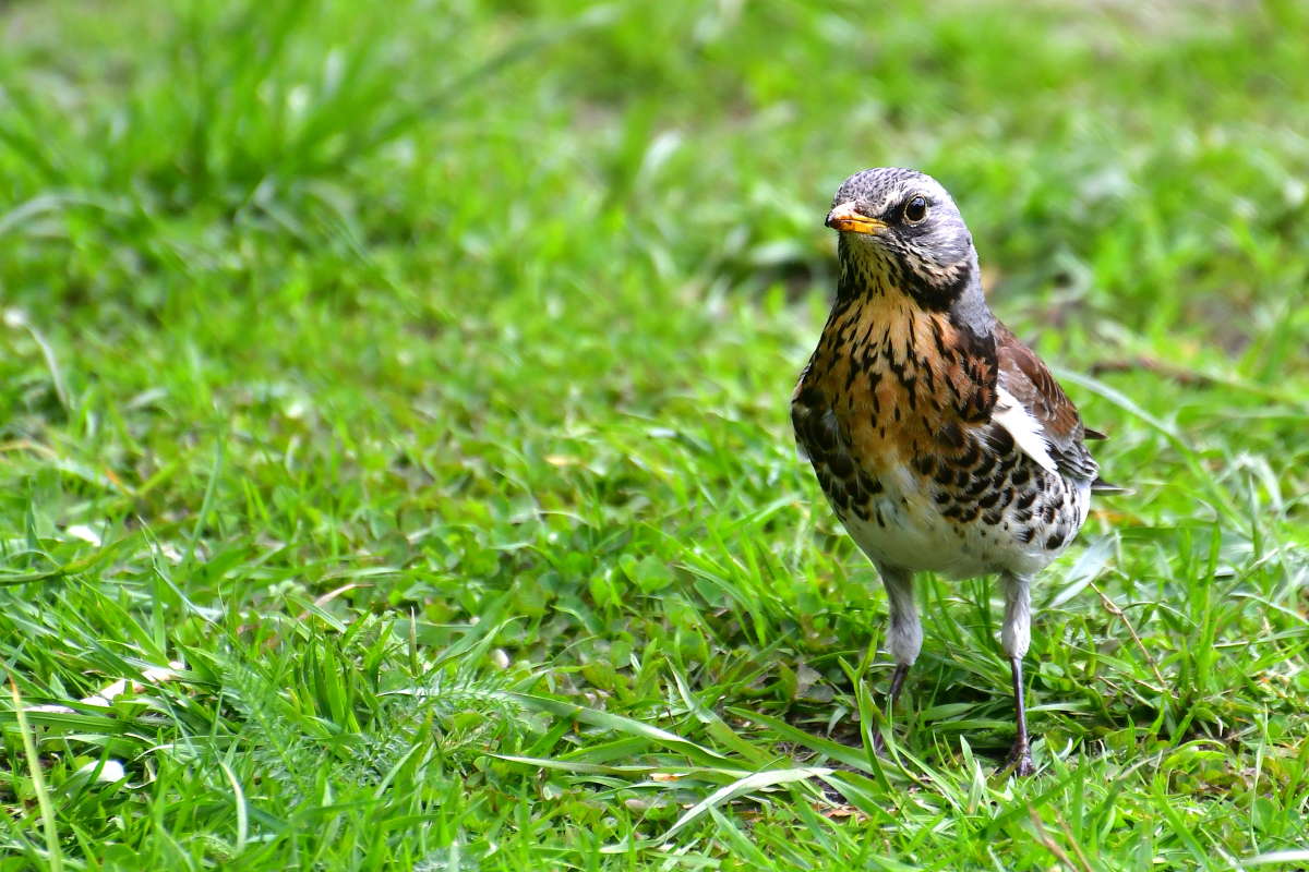 ... ����� �����  �� PhotoGeek.ru #�������� ��� #����� ��� ��� ���������