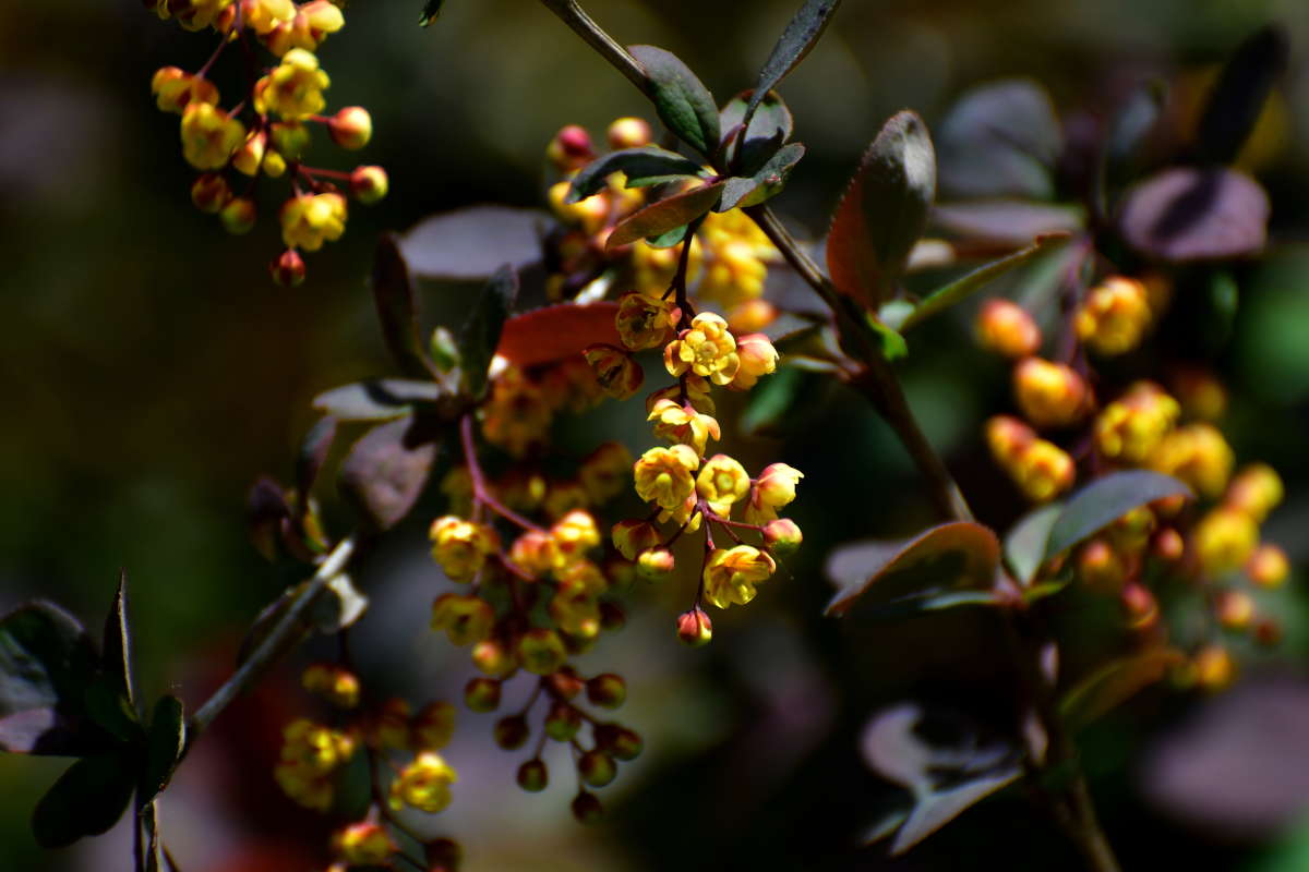 ... ����� �����  �� PhotoGeek.ru #����� #������ ��� ������� #����� ��������������