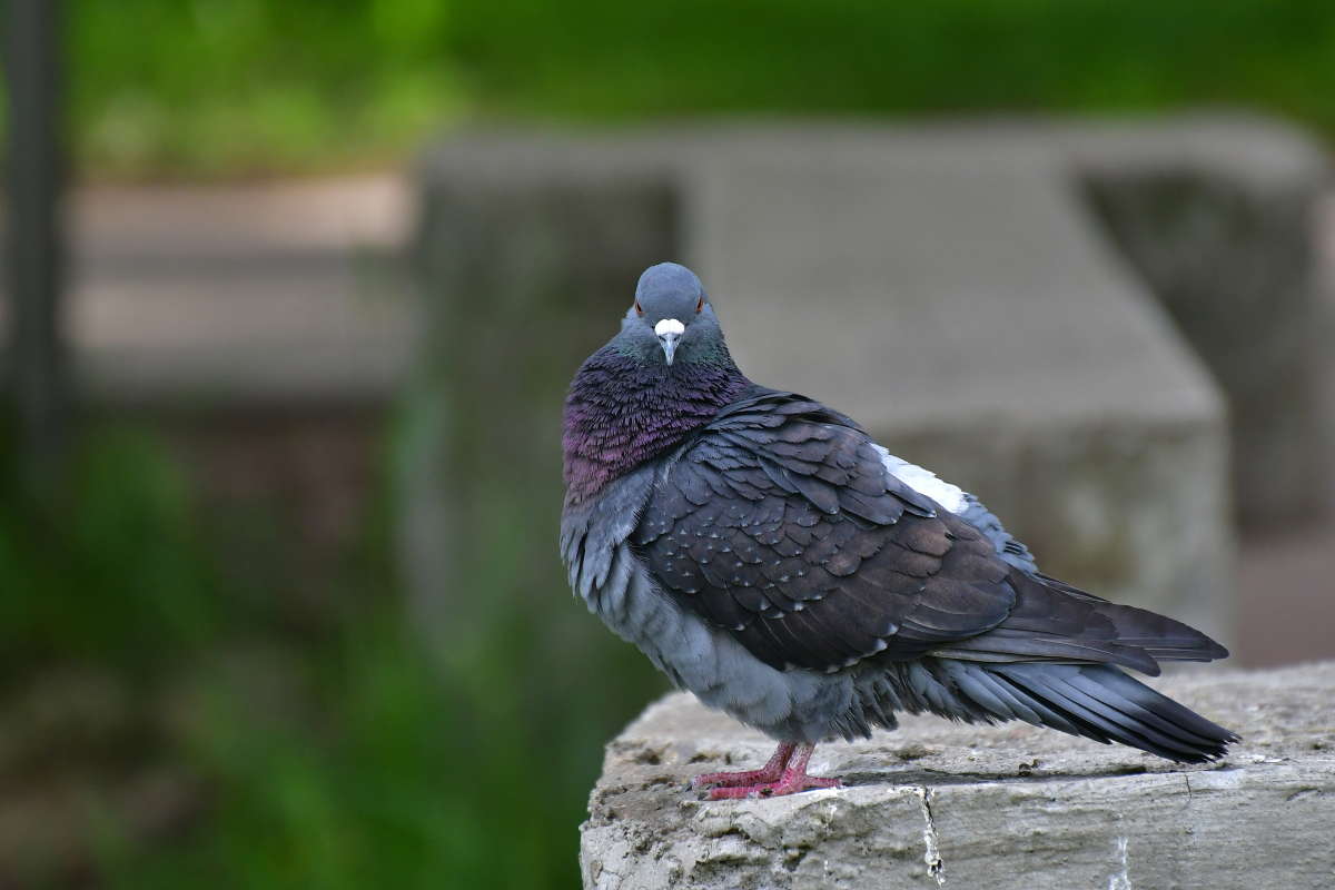 � ������, ��� � ����.. ����� �����  �� PhotoGeek.ru #�����