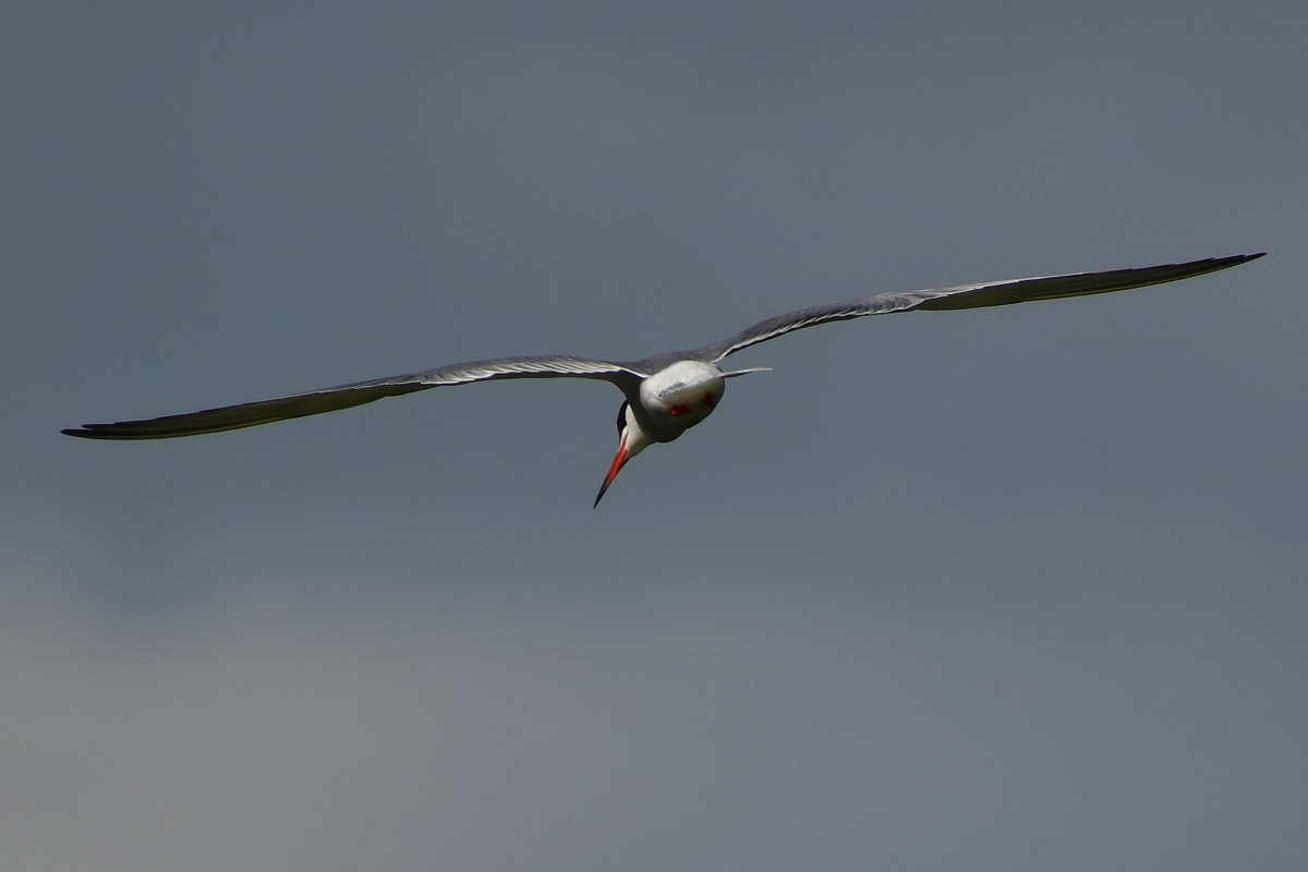 ���� �����.. ����� �����  �� PhotoGeek.ru #����� #�������� ��� #����� ��� ��� ���������