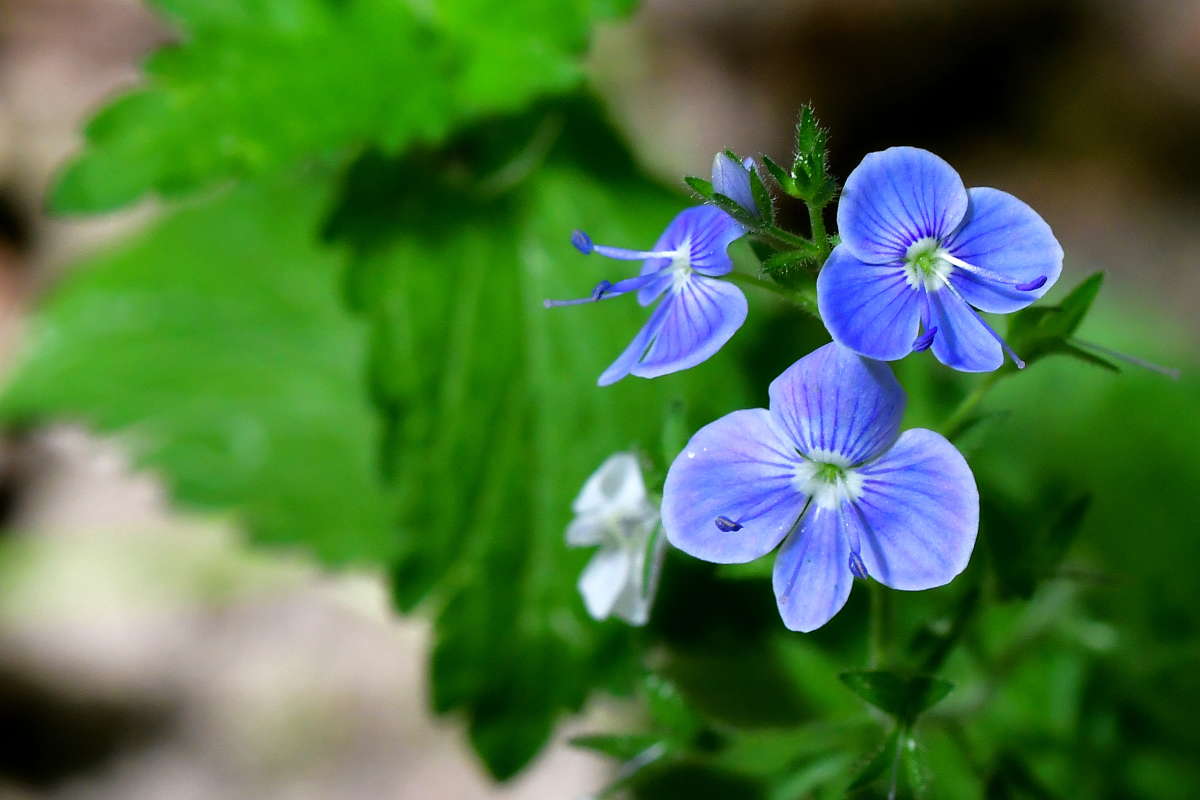 ... ����� �����  �� PhotoGeek.ru #������ ��� ������� #����� ��������������