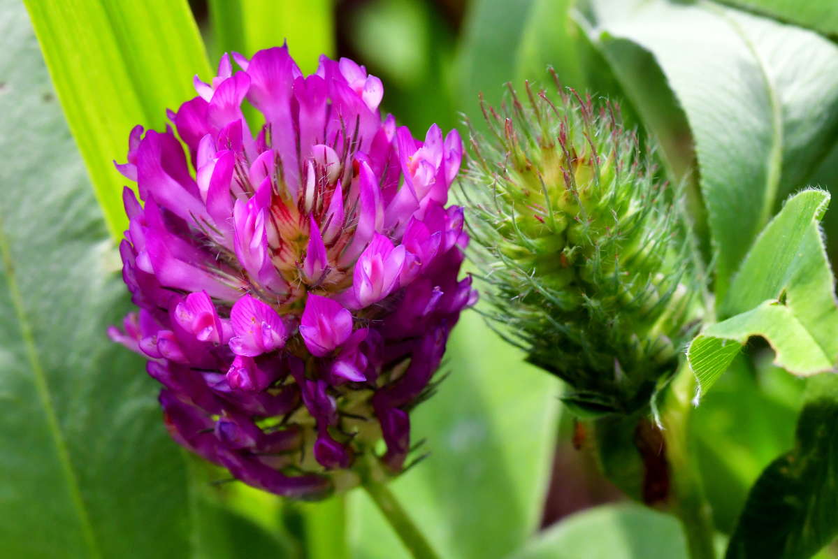 ... ����� �����  �� PhotoGeek.ru #������ ��� ������� #����� ��������������