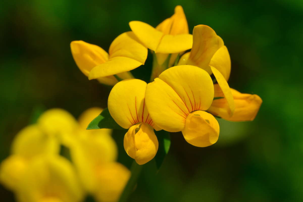 ... ����� �����  �� PhotoGeek.ru #����� #������ ��� ������� #����� ��������������