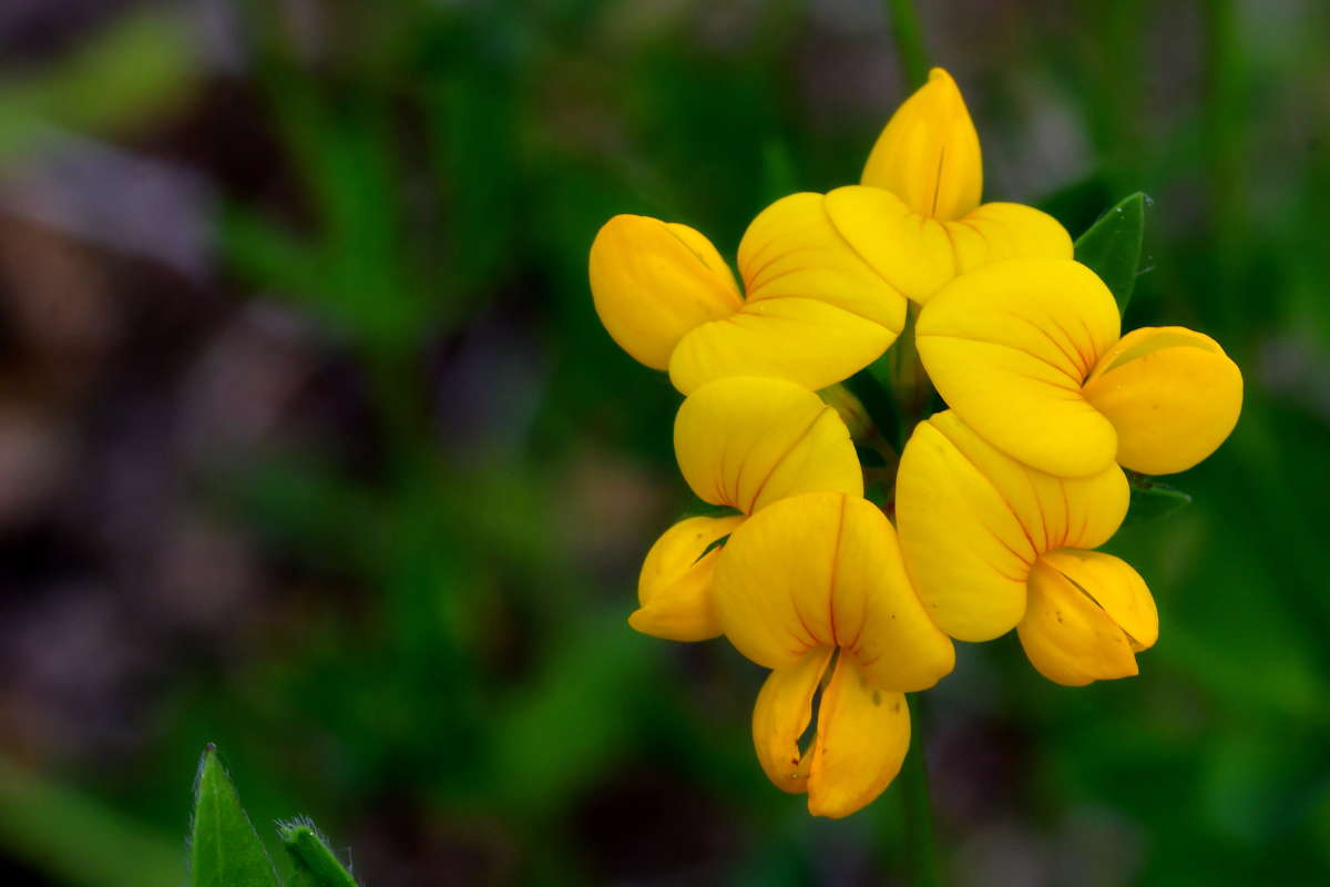 ... ����� �����  �� PhotoGeek.ru #����� #������ ��� ������� #����� ��������������