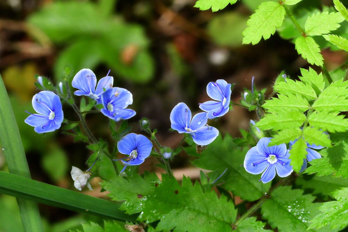 ... ����� �����  �� PhotoGeek.ru #������ ��� ������� #����� ��������������