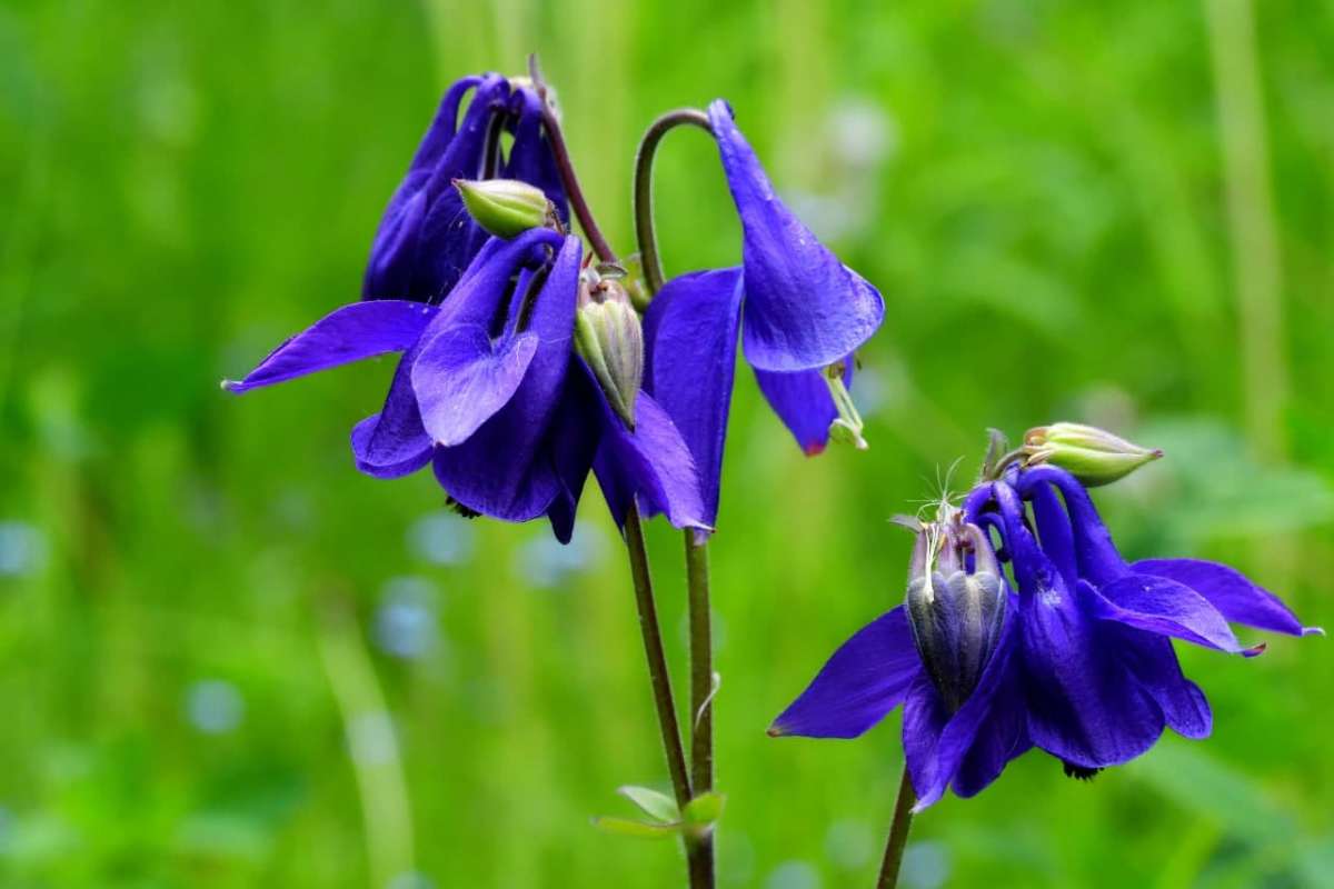 ... ����� �����  �� PhotoGeek.ru #������ ��� ������� #����� ��������������