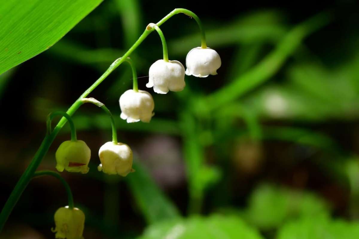 ... ����� �����  �� PhotoGeek.ru #������ ��� ������� #����� ��������������