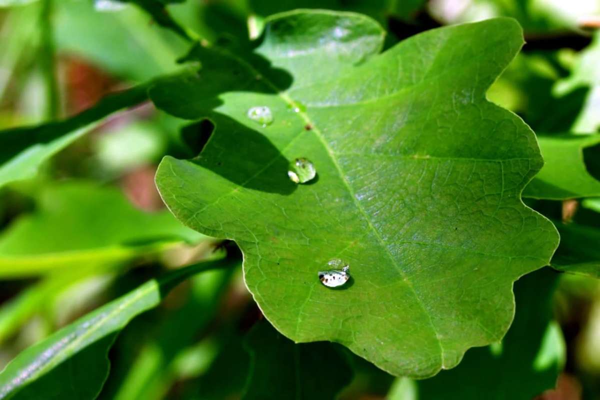 ... ����� �����  �� PhotoGeek.ru #������ ��� ������� #����� ��������������