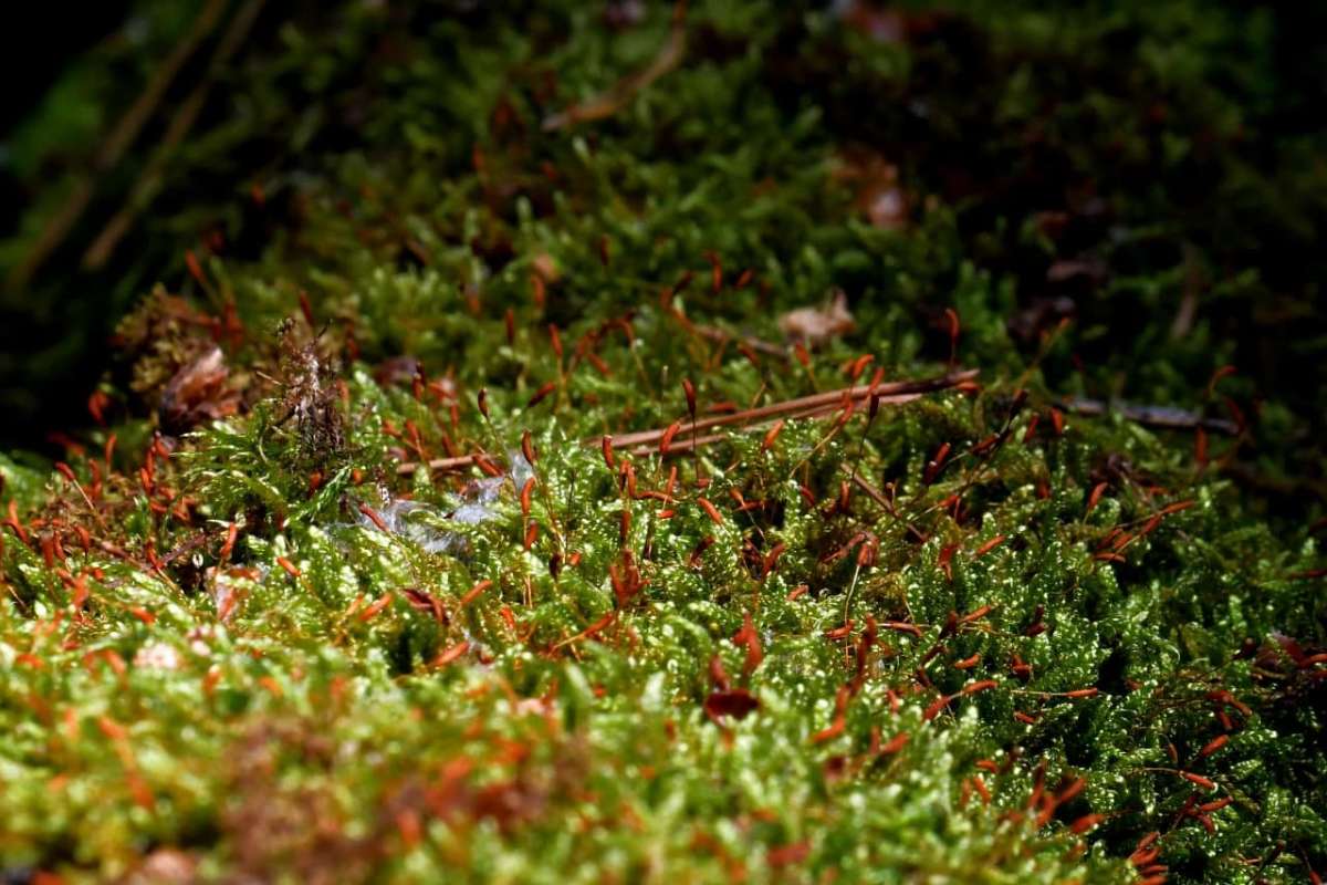 ������ ����.. ����� �����  �� PhotoGeek.ru #������ ��� ������� #����� ��������������