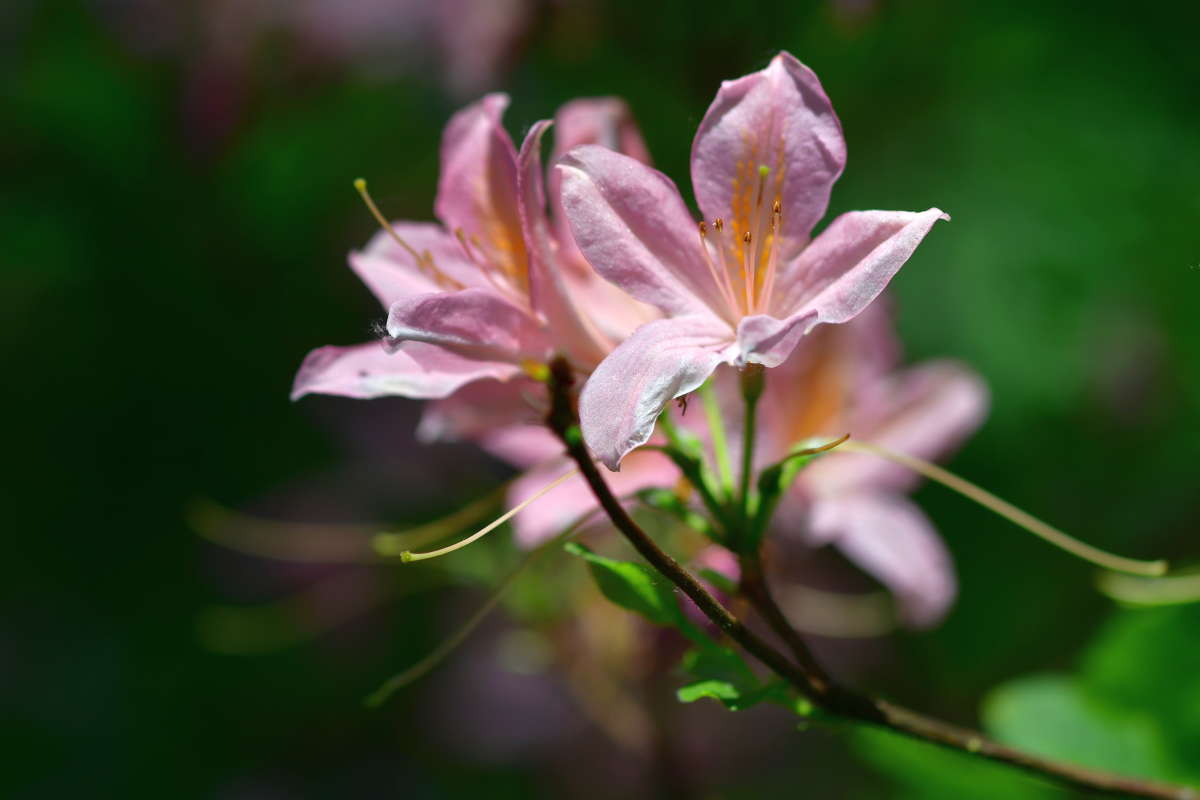 ... ����� �����  �� PhotoGeek.ru #������ ��� ������� #����� ��������������