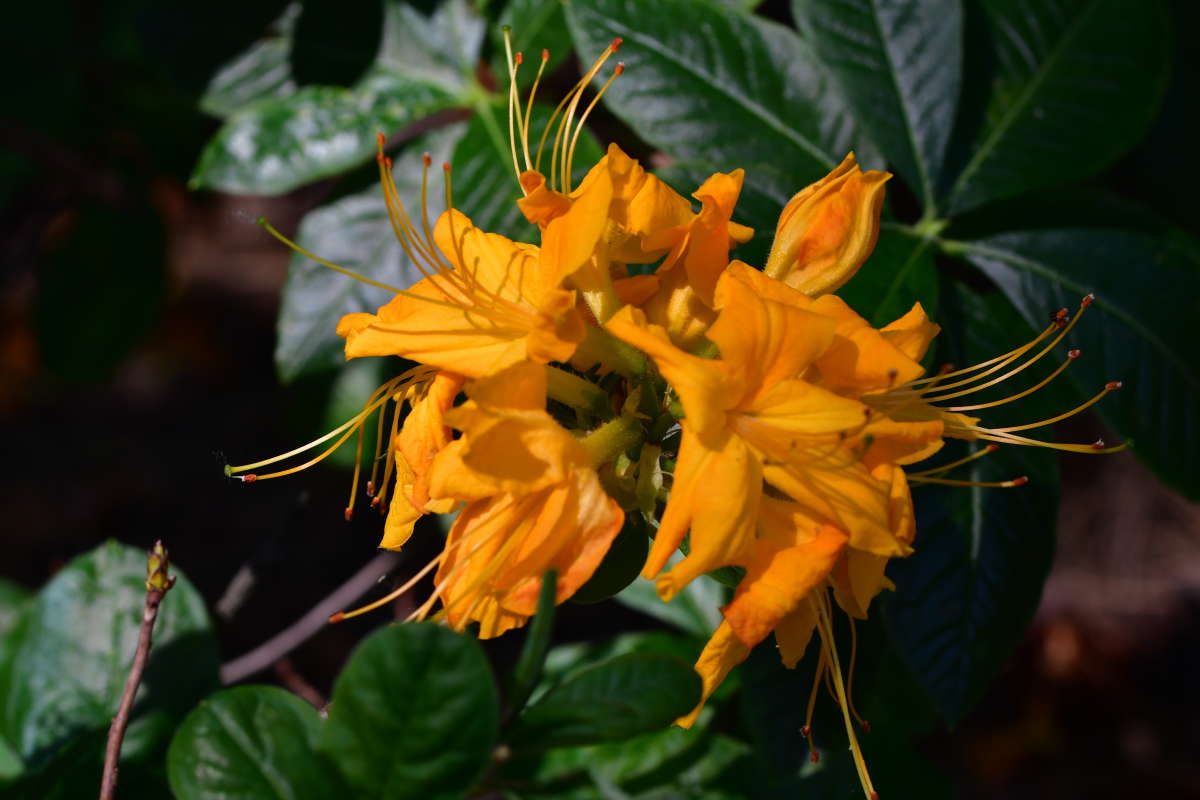 ... ����� �����  �� PhotoGeek.ru #����� #������ ��� ������� #����� ��������������