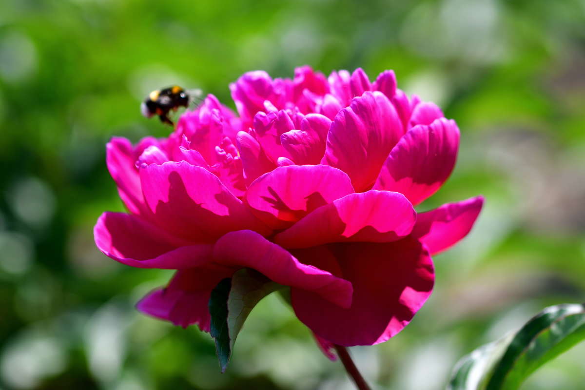 ... ����� �����  �� PhotoGeek.ru #����� #������ ��� ������� #����� ��������������