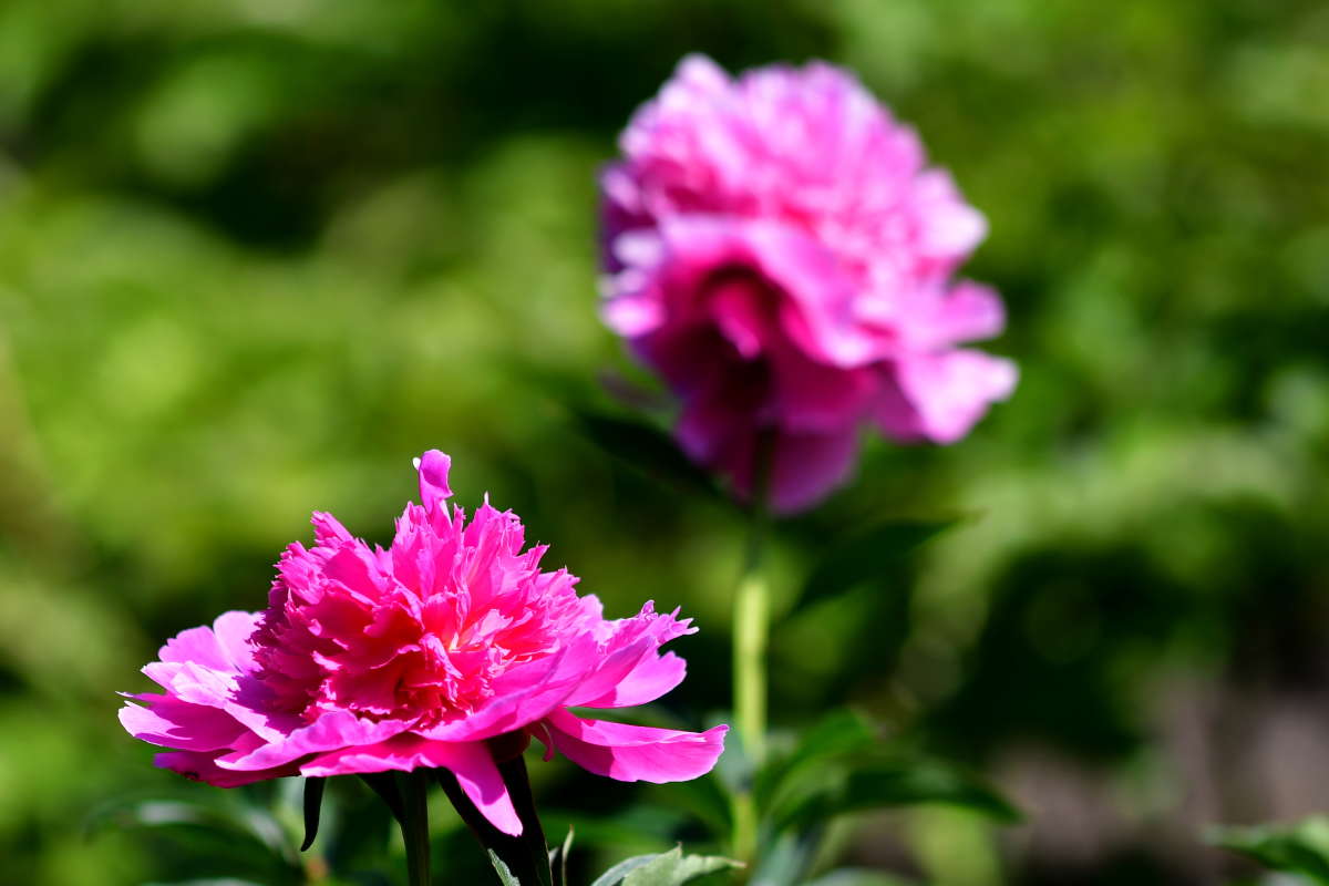 ... ����� �����  �� PhotoGeek.ru #����� #������ ��� ������� #����� ��������������