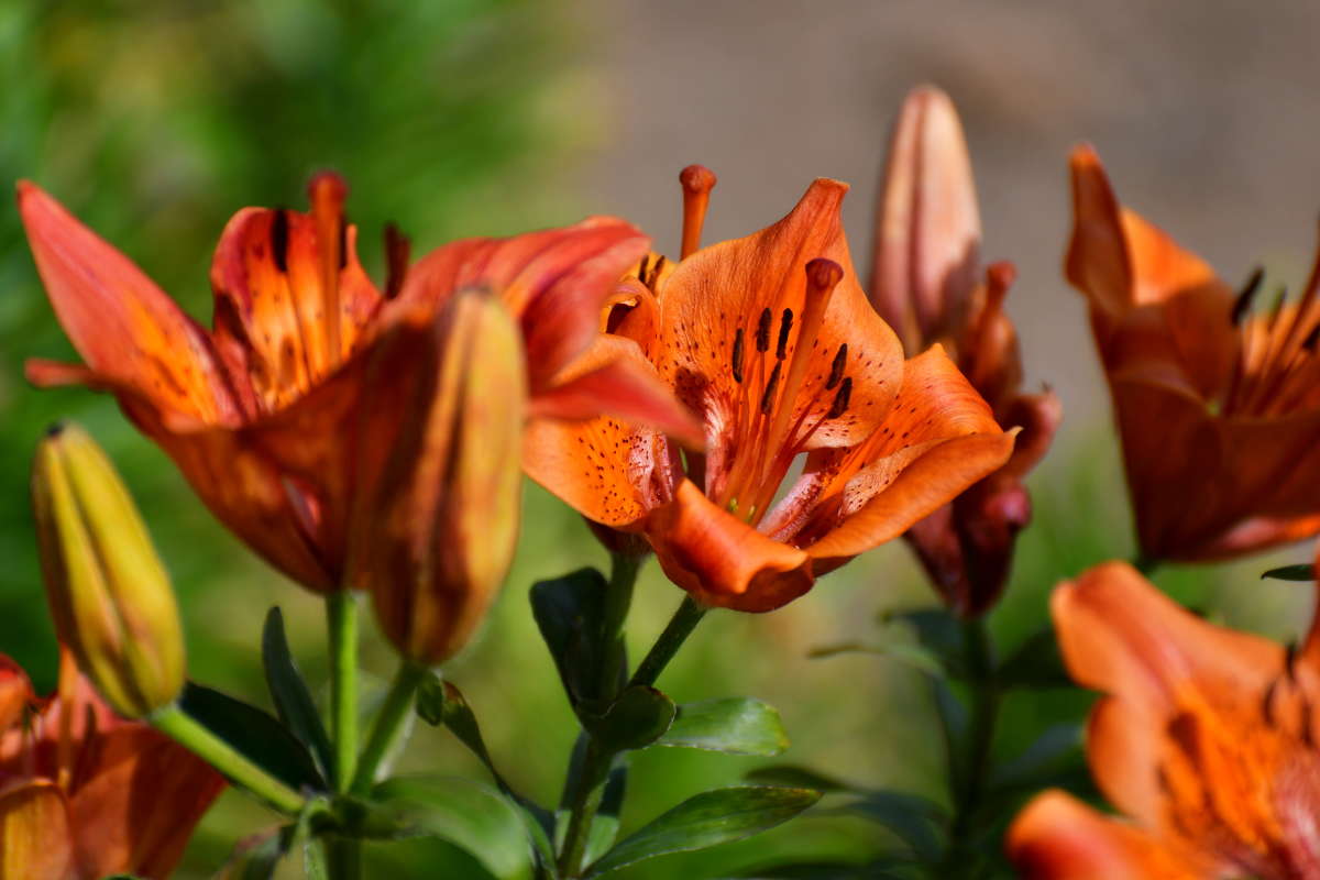 ... ����� �����  �� PhotoGeek.ru #����� #������ ��� ������� #����� ��������������