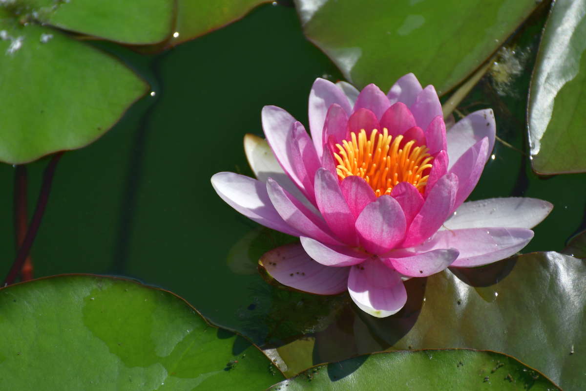 ... ����� �����  �� PhotoGeek.ru #����� #������ ��� ������� #����� ��������������