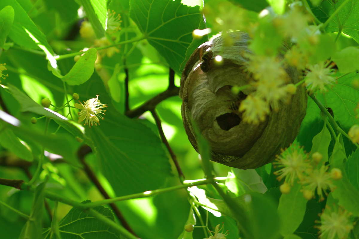 ������ ������.. ����� �����  �� PhotoGeek.ru #������ ��� ������� #����� ��������������