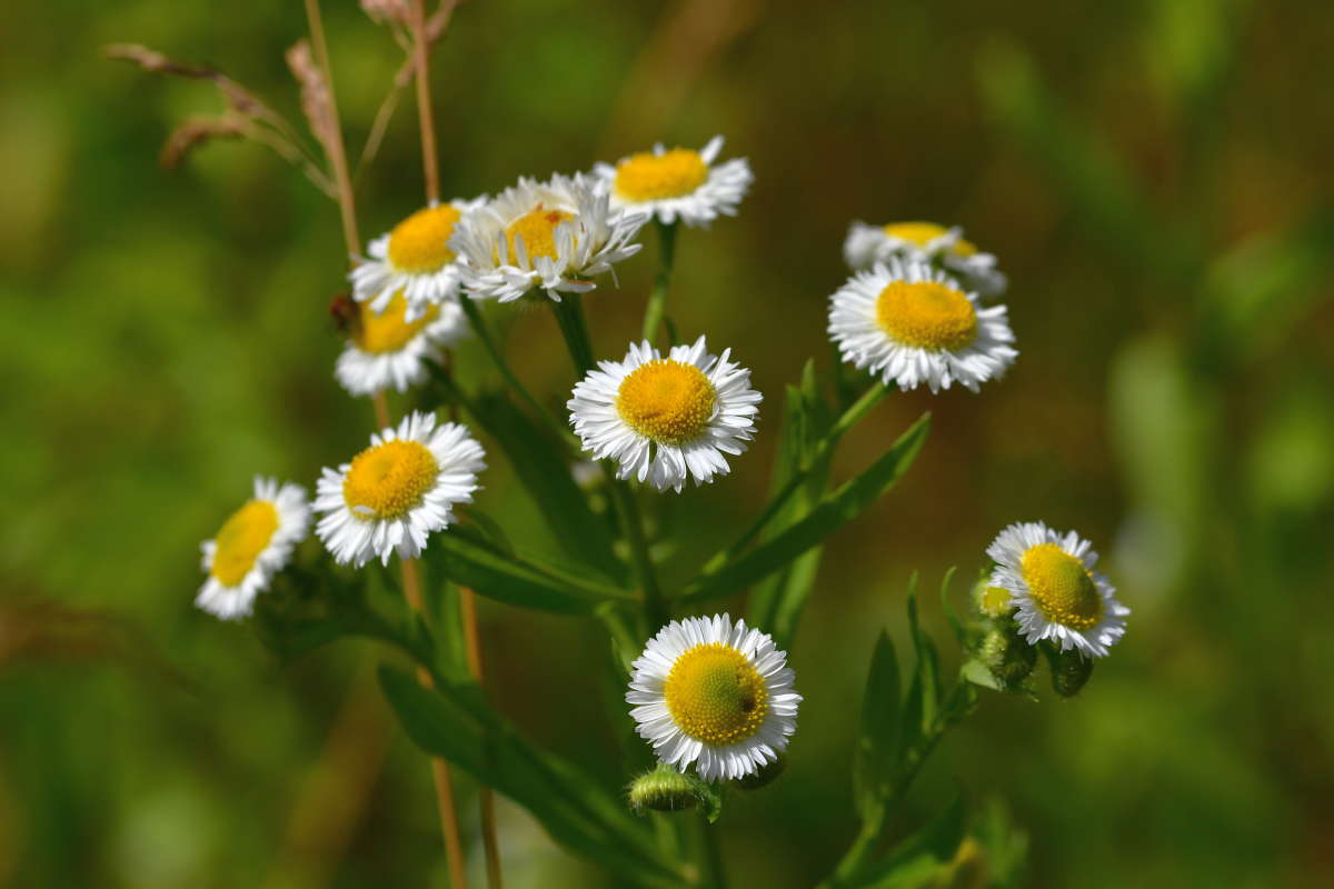 �����.. ����� �����  �� PhotoGeek.ru #������ ��� ������� #����� ��������������