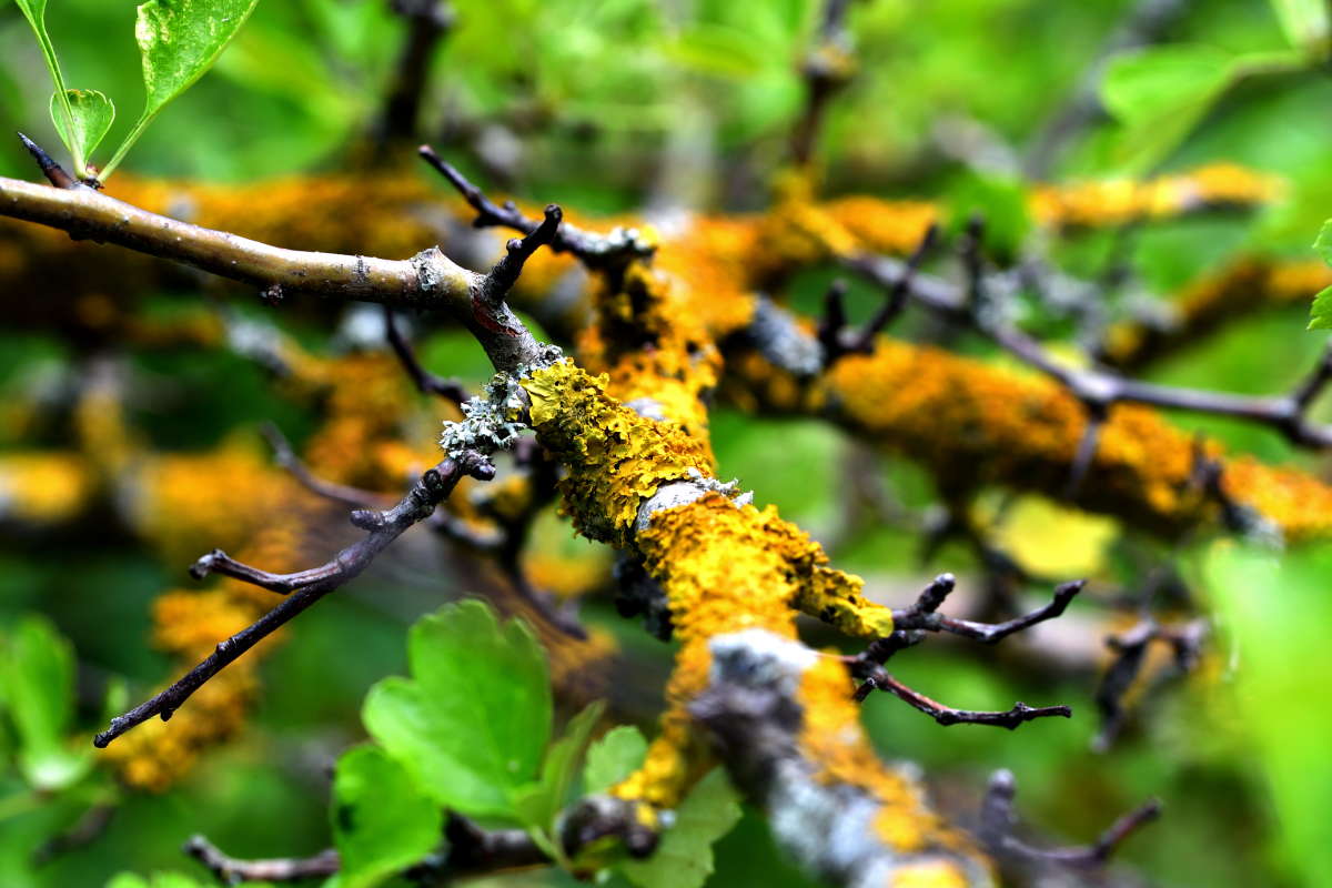 ... ����� �����  �� PhotoGeek.ru #������ ��� ������� #����� ��������������