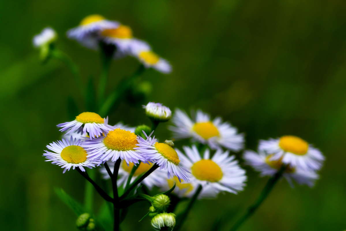 ... ����� �����  �� PhotoGeek.ru #����� #����� ��������������