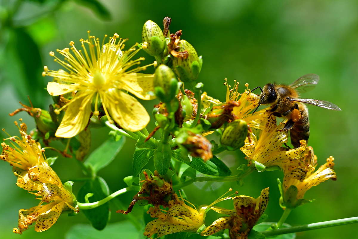 ����� � ��������.. ����� �����  �� PhotoGeek.ru #����� #����� �������������� #���������