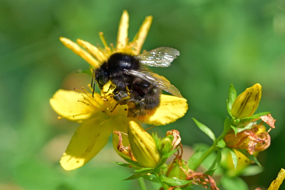 ... ����� �����  �� PhotoGeek.ru #����� #����� �������������� #���������