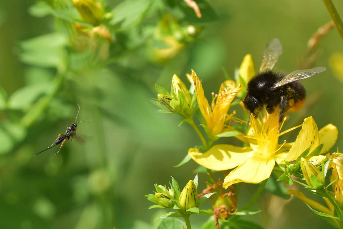 ... ����� �����  �� PhotoGeek.ru #����� #����� �������������� #���������