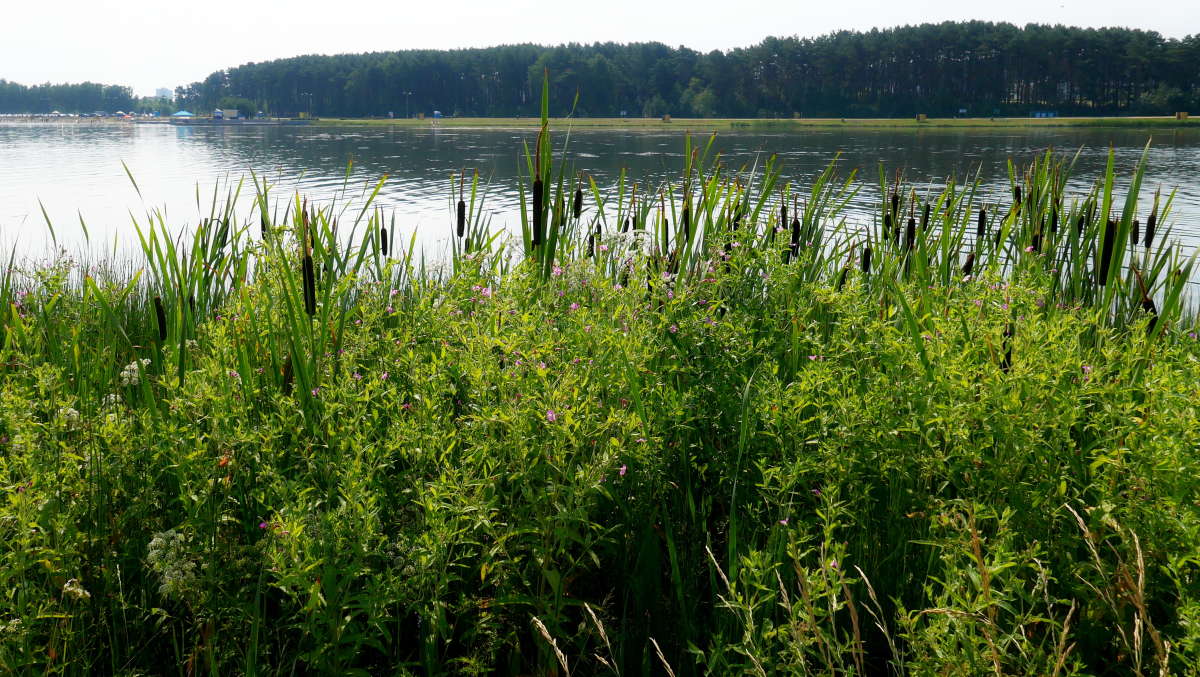 ... ����� �����  �� PhotoGeek.ru #������ ��� �������