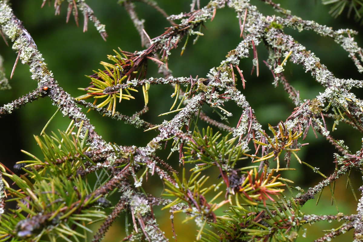 ... ����� �����  �� PhotoGeek.ru #������ ��� ������� #����� ��������������