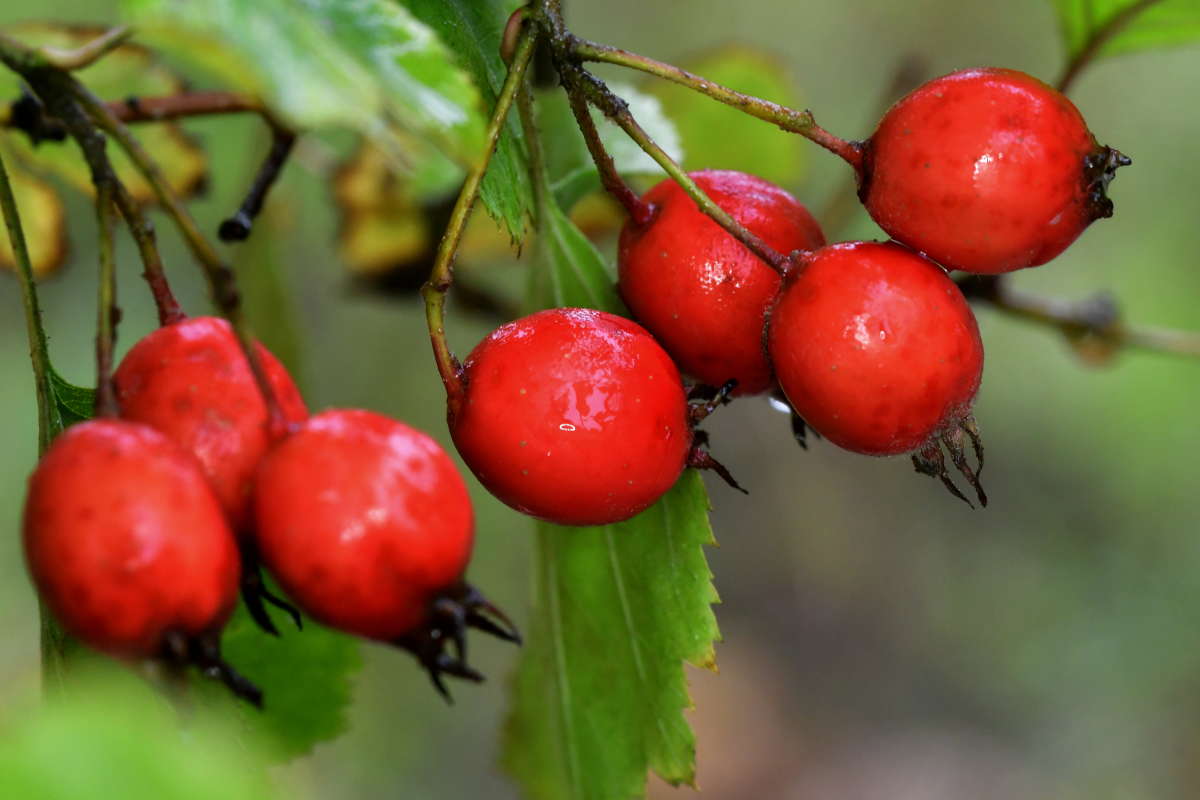 ���������.. ����� �����  �� PhotoGeek.ru #������ ��� ������� #����� ��������������