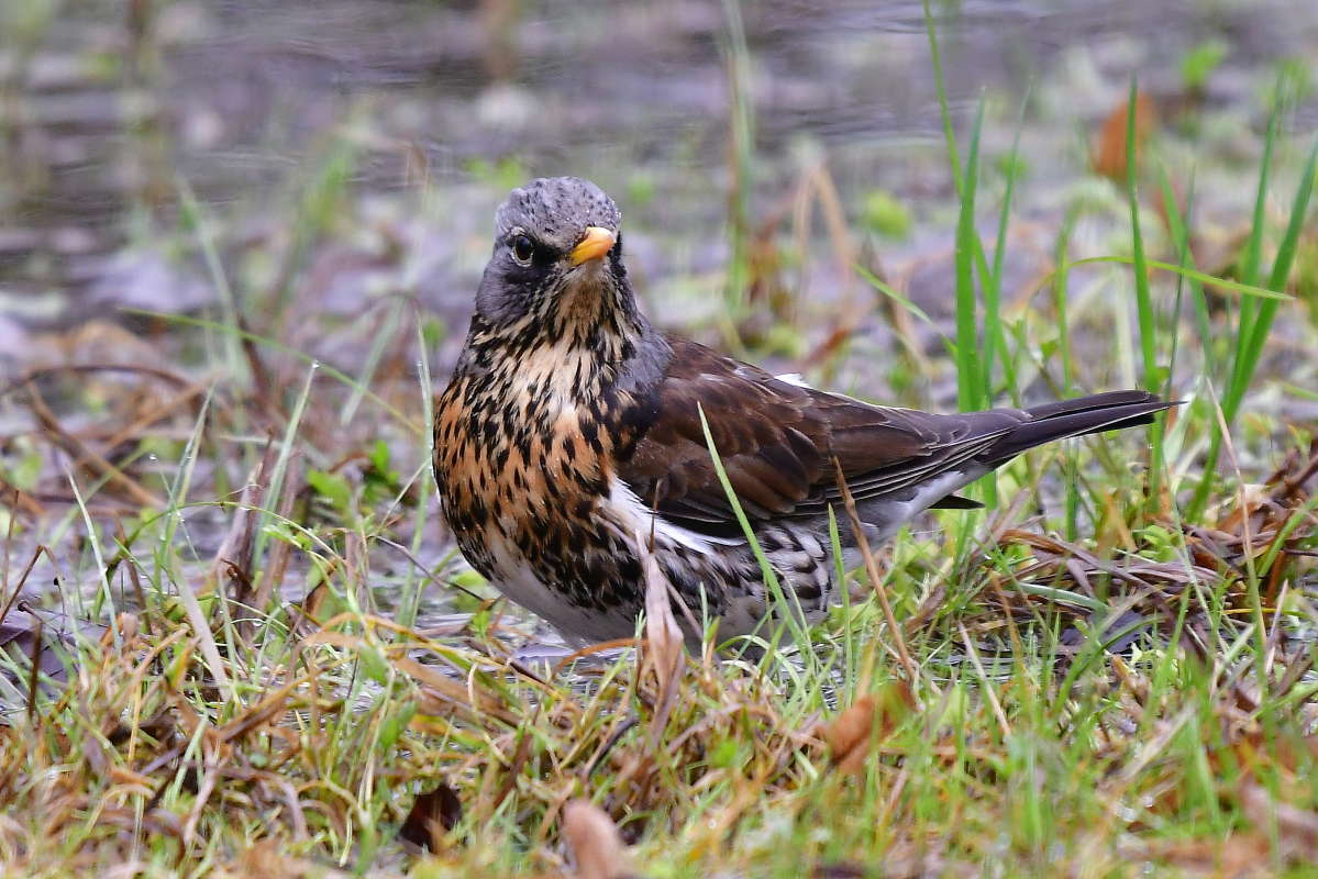 ... ����� �����  �� PhotoGeek.ru #�������� ��� #����� ��� ��� ���������