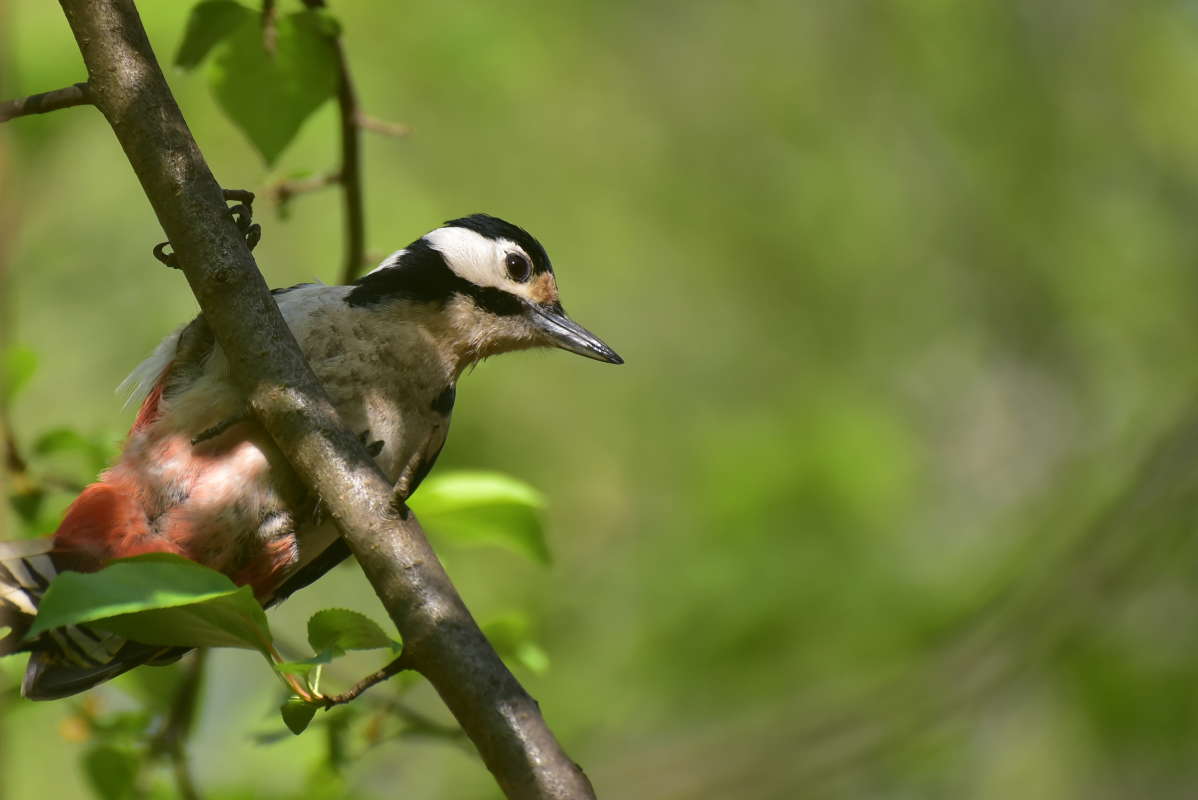 ... ����� �����  �� PhotoGeek.ru #�������� ���